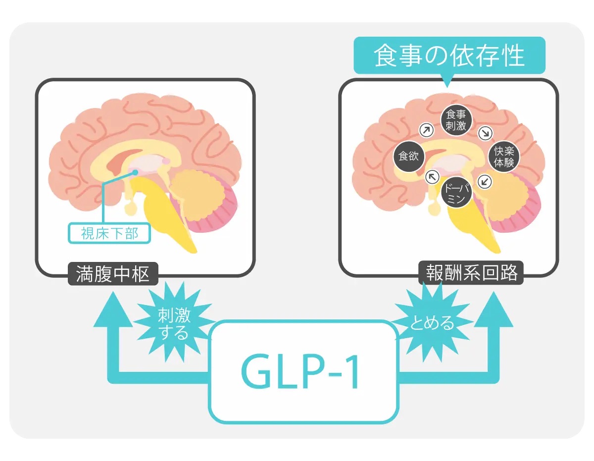 GLP-1
