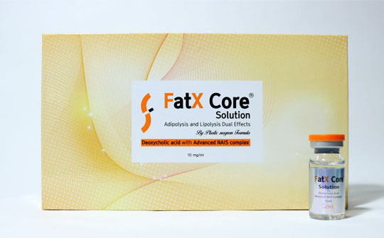 FatX core