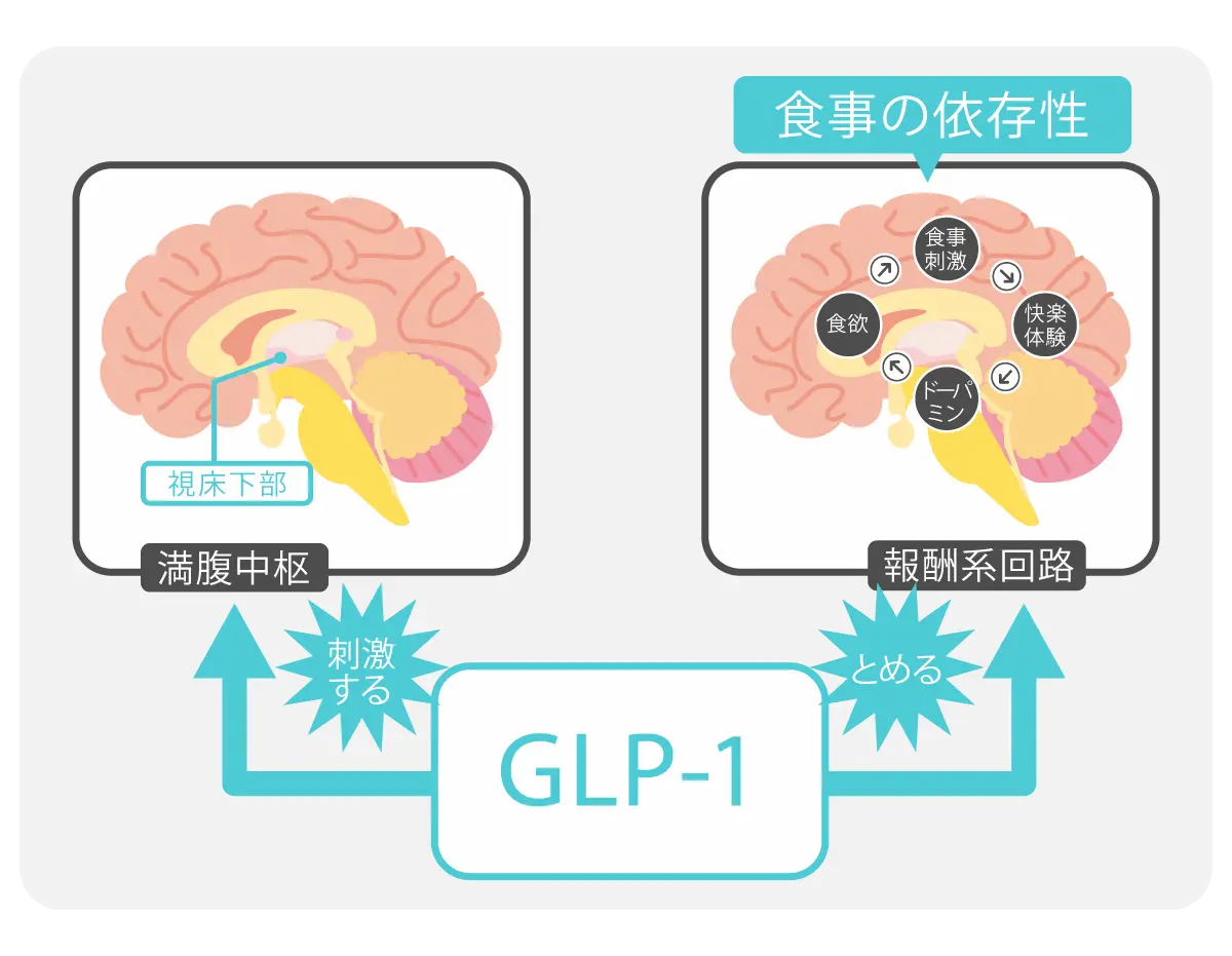 GLP-1受容体作動薬(マンジャロ・リベルサス等)の効果と限界
